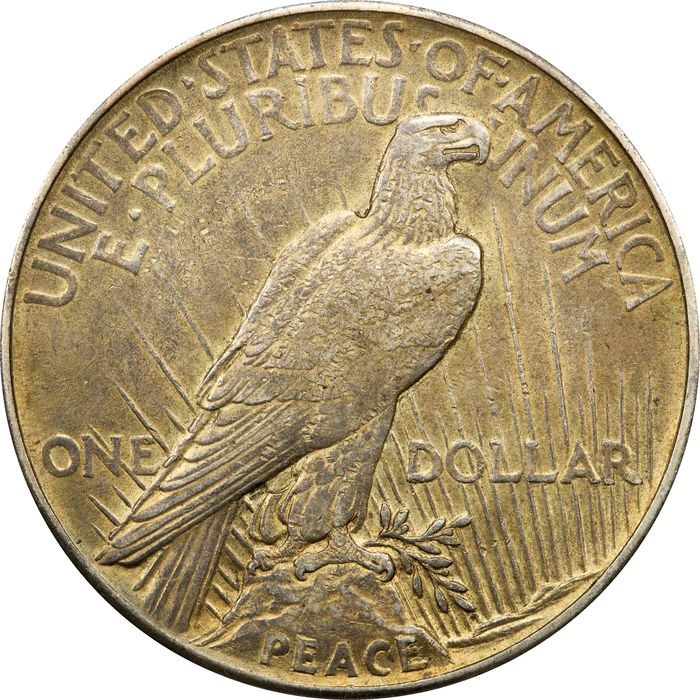 1921 High Relief Peace Dollar ($1) Photo 4