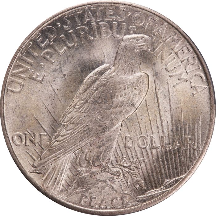 1921 High Relief Peace Dollar ($1) Photo 4
