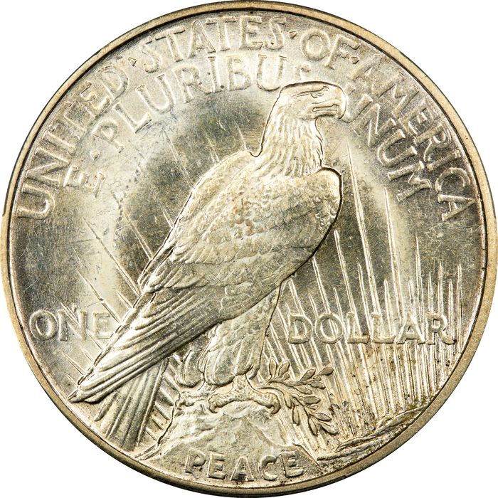 1921 High Relief Peace Dollar ($1) Photo 4