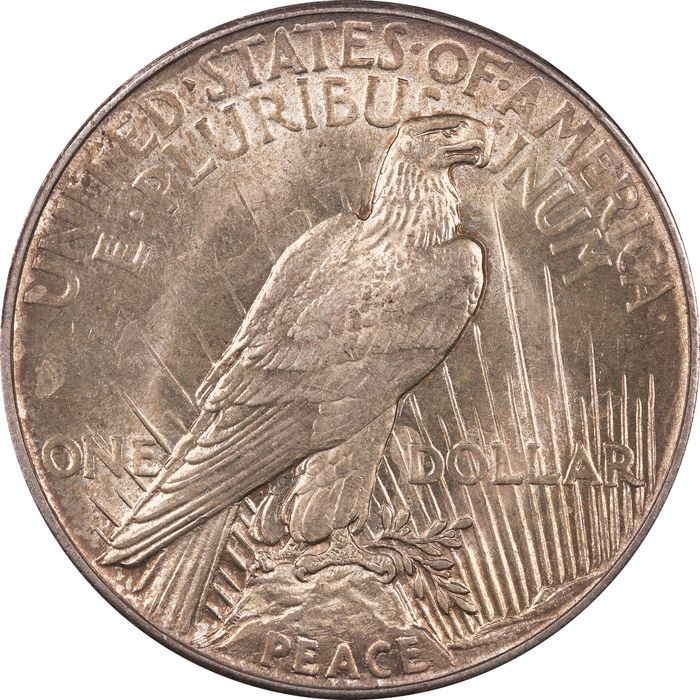 1921 Peace Dollar ($1) High Relief Reverse Image