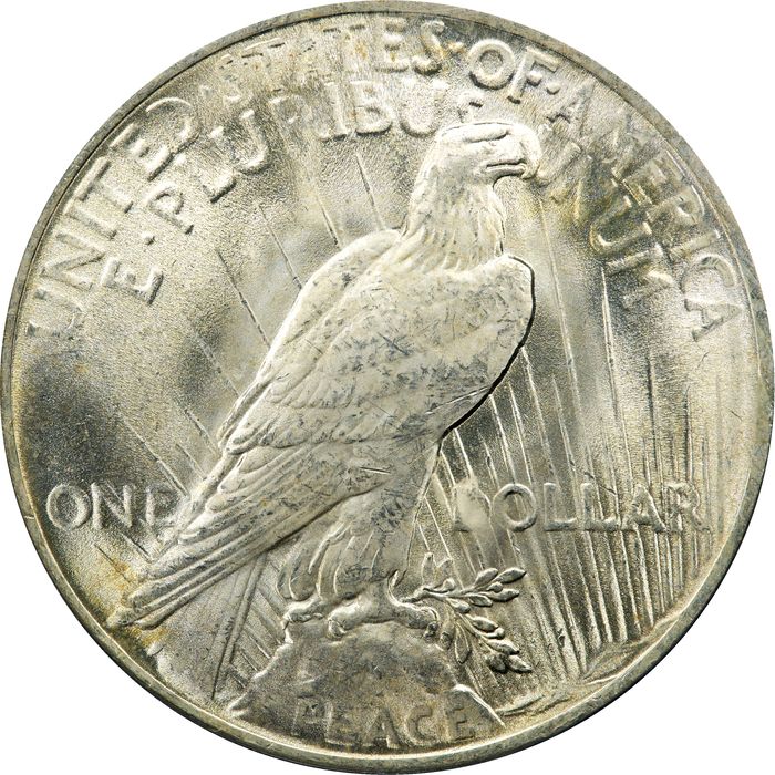 1922 Peace Dollar ($1) Photo 4
