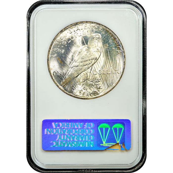 1923 Peace Dollar ($1) Reverse Slab Image