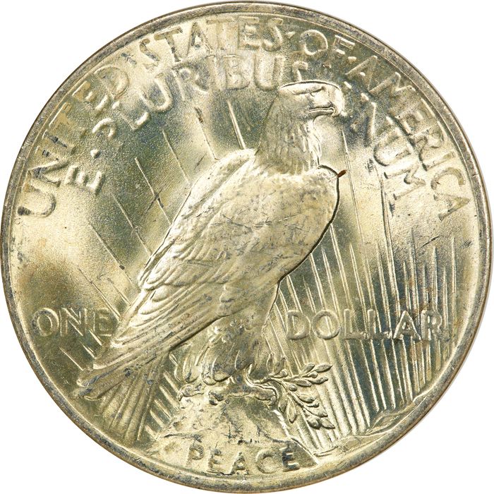 1923 Peace Dollar ($1) Reverse Image