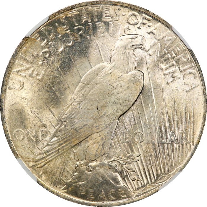 1923 Peace Dollar ($1) Reverse Image