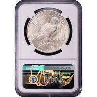 1923 Peace Dollar ($1) Reverse Slab Image