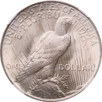 1923 Peace Dollar ($1) Reverse Image