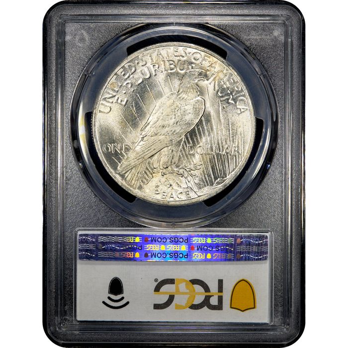 1923 Peace Dollar ($1) Reverse Slab Image