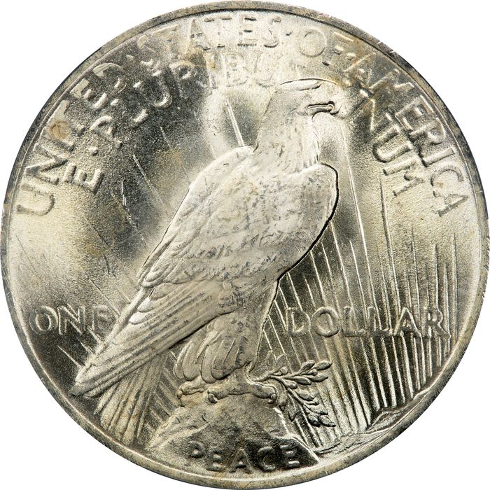 1923 Peace Dollar ($1) Reverse Image