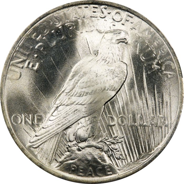 1923 Peace Dollar ($1) Photo 4