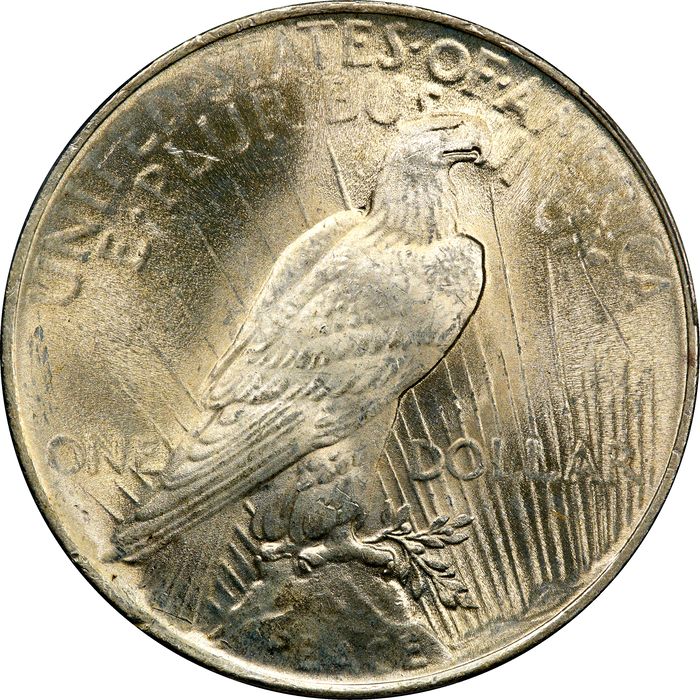 1924 Peace Dollar ($1) Photo 4