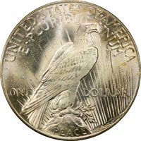 1925 Peace Dollar ($1) Photo 4
