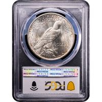 1926-D Peace Dollar ($1) Reverse Slab Image