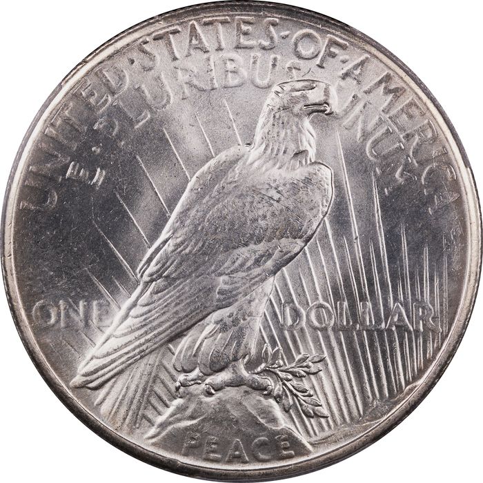 1927 Peace Dollar ($1) Reverse Image