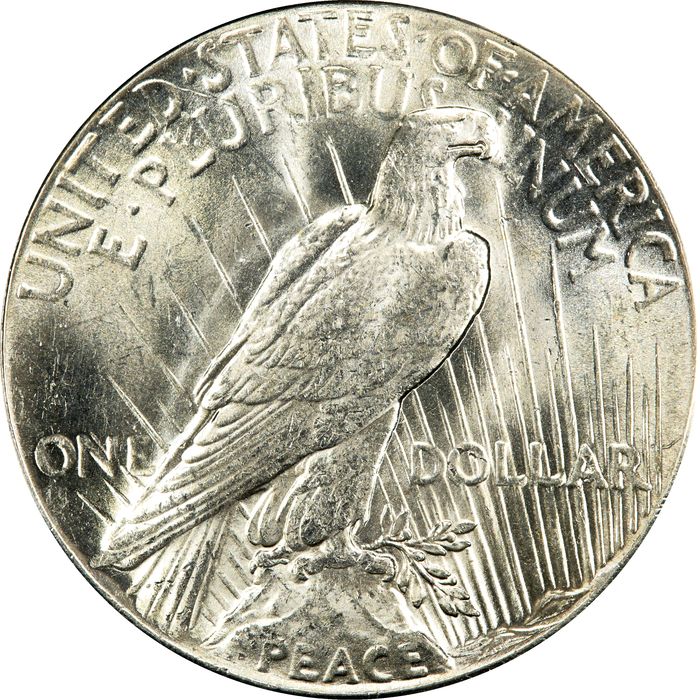 1928 Peace Dollar ($1) Reverse Image
