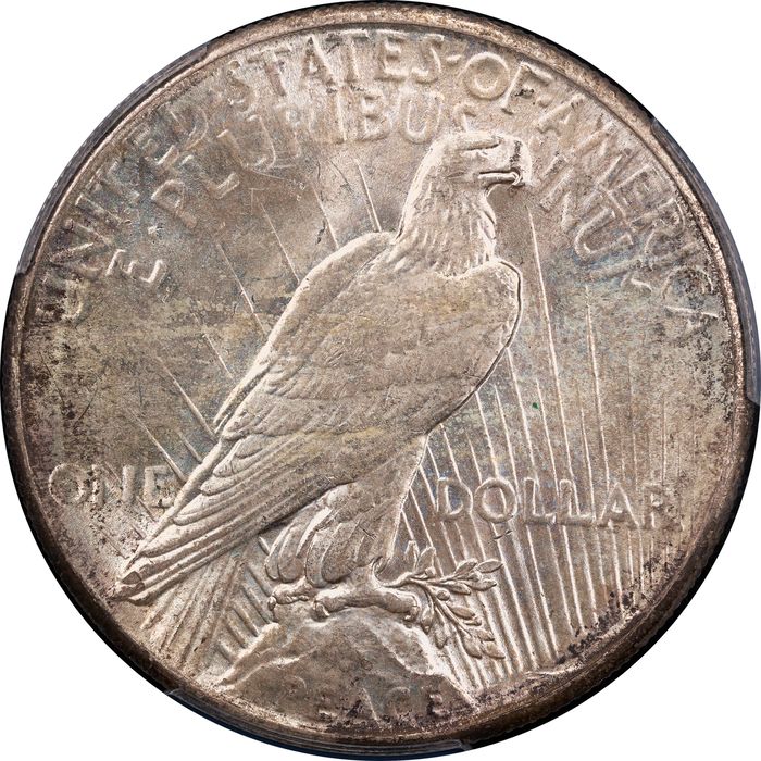 1928 Peace Dollar ($1) Reverse Image