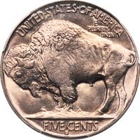 1931-S Buffalo Nickel (5c) Photo 4