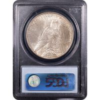 1934-D Peace Dollar ($1) Reverse Slab Image