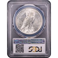 1934-D Peace Dollar ($1) Reverse Slab Image