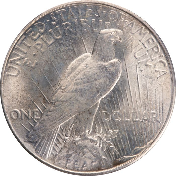 1934 Peace Dollar ($1) Photo 4