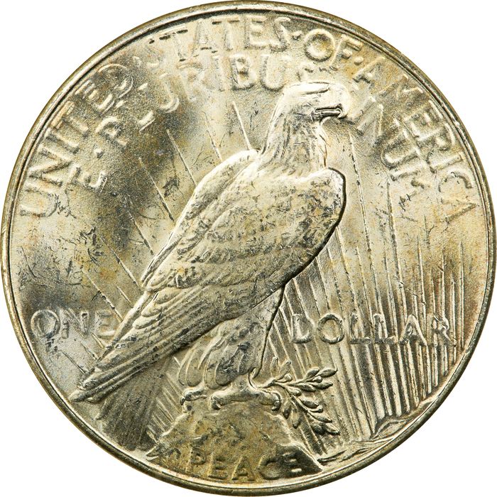 1935 Peace Dollar ($1) Photo 4