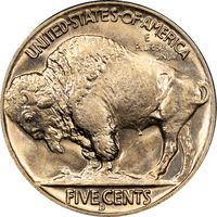 1938-D Buffalo Nickel (5c) Rattler Reverse Image